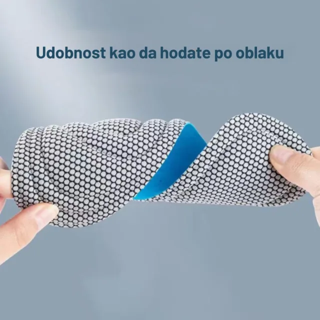 Anatomska podrška