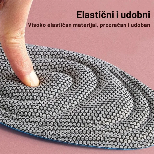 Anatomska podrška